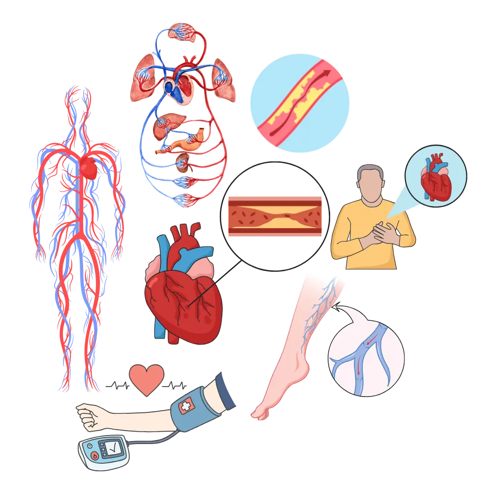 Heart and Circulatory Ailments